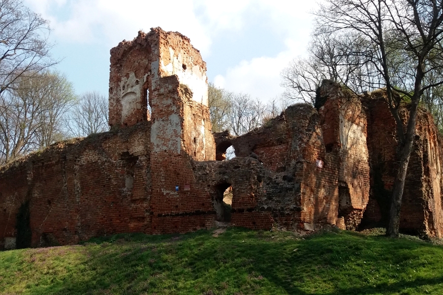 fot. arch. KSR – Milicz, ruiny zamku książęcego wybudowanego w połowie XIV wieku